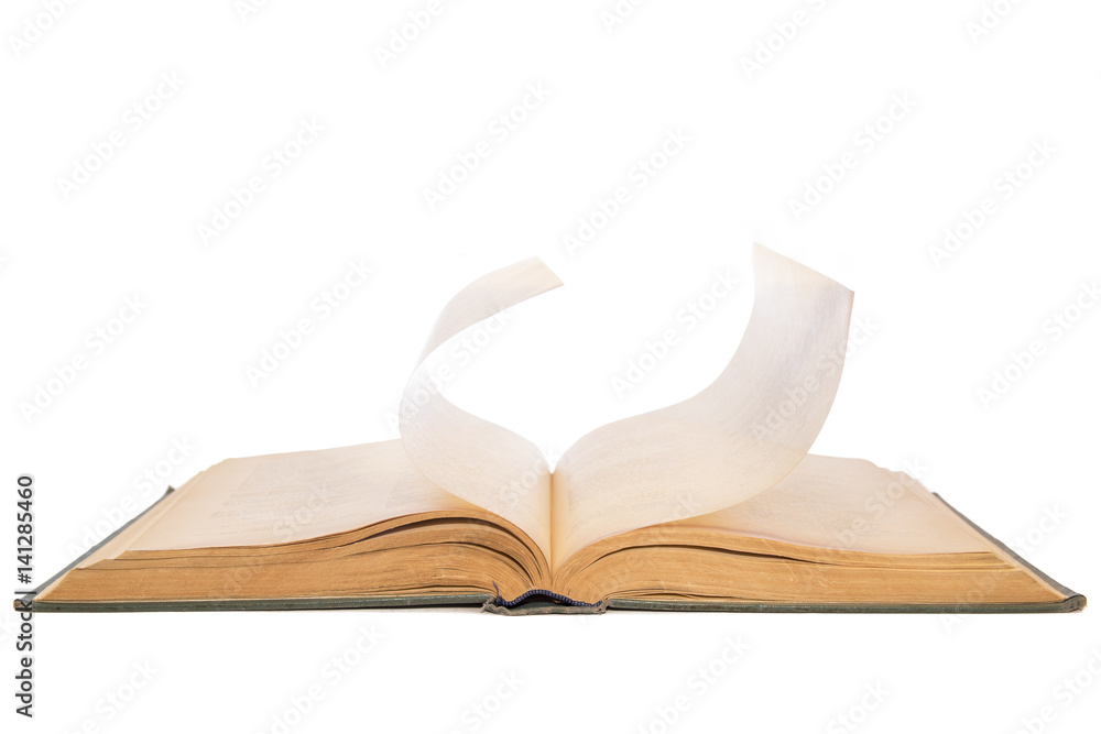 Naklejka premium open old book new