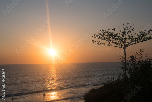 Bougainvillea and Orange Sunset above ocean Kerala