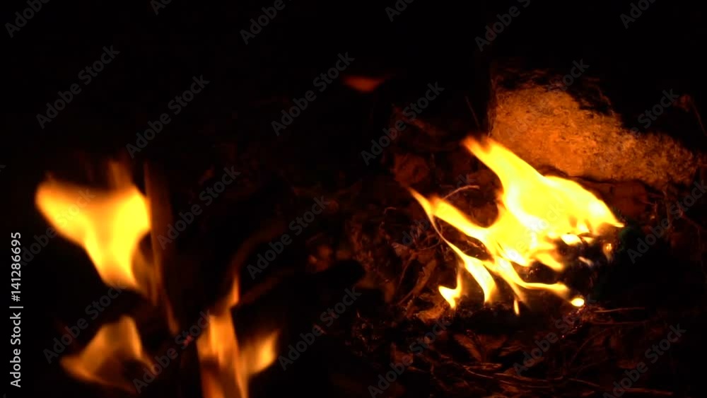 Flames of the night fire Slow-motion shooting Flames of the night fire Slow-motion shooting