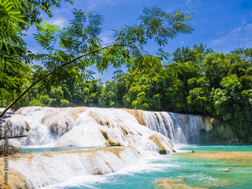 Agua Azul waterfalls in the lush rainforest of Chiapas, Mexico 