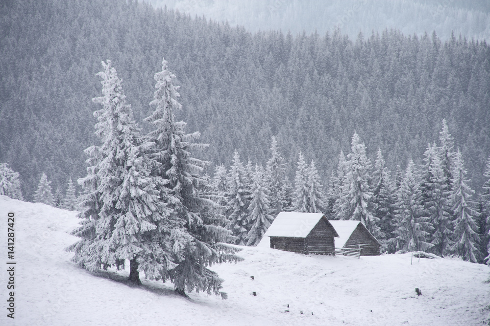 winter in mountains winter in mountains