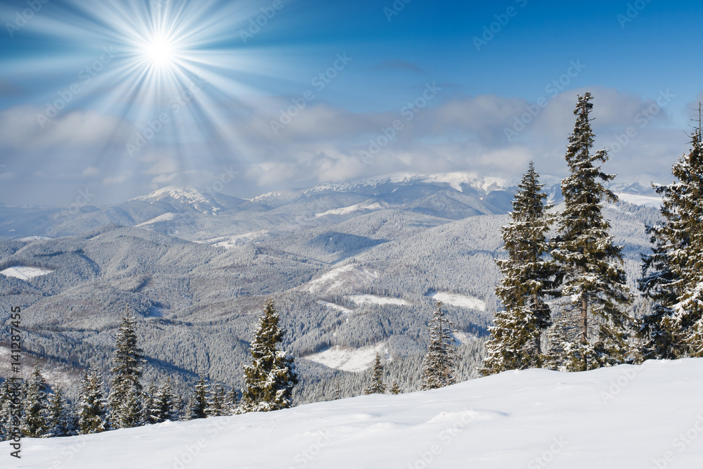 winter landscape winter landscape