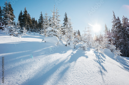 beautiful winter landscape © Leonid Tit