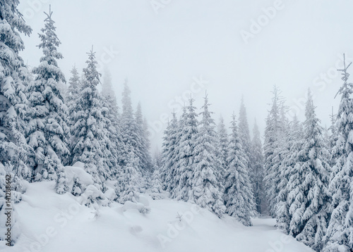 Majestic winter landscape