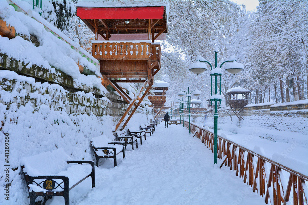 Naklejka premium Donmuş değirmen