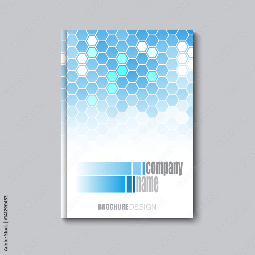 Business Corporate Flyer Template with Hexagonal Pattern Vector eps10
