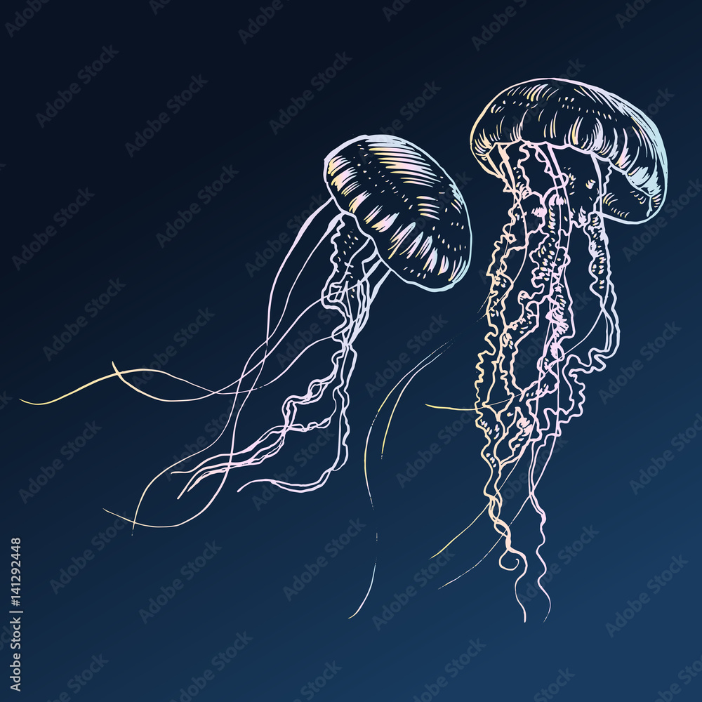 Obraz premium Ilustracja wektorowa meduzy. Malowane ręcznie.