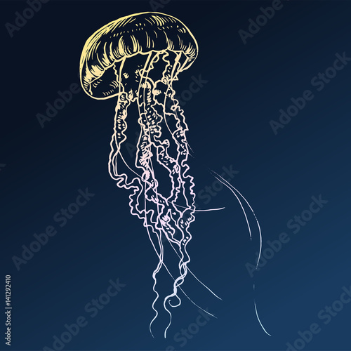 Vector illustration jellyfish. Painted by hand.