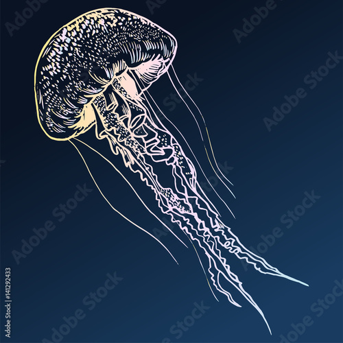 Vector illustration jellyfish. Painted by hand.