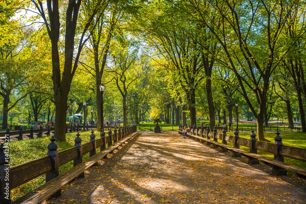 Beautiful park in beautiful city..Central Park. The Mall area in Central Park at autumn., New York City, USA Beautiful park in beautiful city..Central Park. The Mall area in Central Park at autumn., New York City, USA