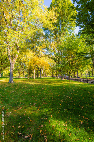 Beautiful park in beautiful city..Central Park. The Mall area in Central Park at autumn., New York City, USA