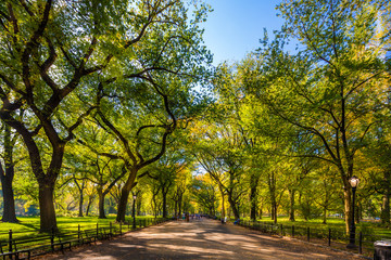 Canvas schilderij Central Park The Mall in herfsttinten  © MISHELLA