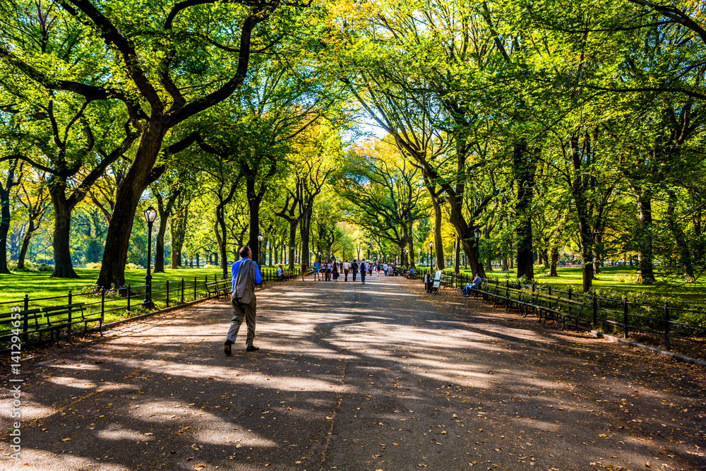 Beautiful park in beautiful city..Central Park. The Mall area in Central Park at autumn., New York City, USA Beautiful park in beautiful city..Central Park. The Mall area in Central Park at autumn., New York City, USA