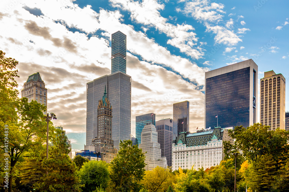 Fototapeta premium Central Park in the Autumn
