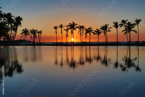 Hawaiian Sunset with Palm Trees and Reflection © Quattrophotography