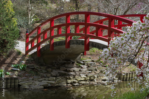Obraz na płótnie Red arched bridge and cherry blossoms in a Japanese garden. w salonie