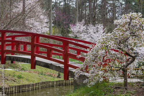 Obraz na płótnie Japanese gardens with cherry blossoms at Duke Gardens in Durham, North Carolina. w salonie