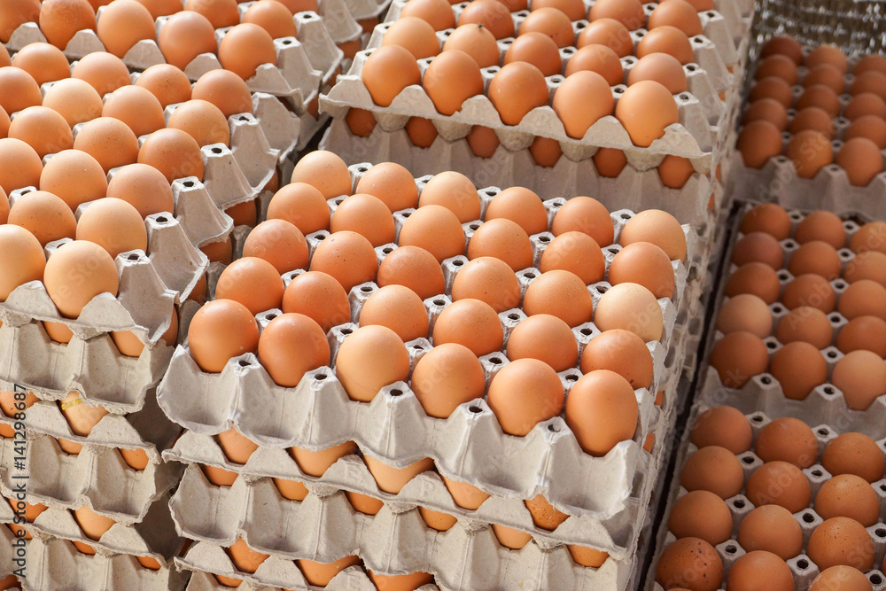Chicken eggs in paper trays