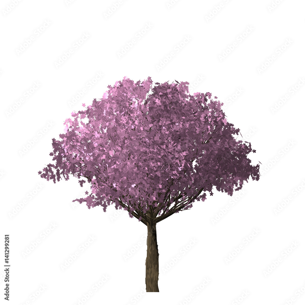 Obraz premium Pink Tree of computer graphics.