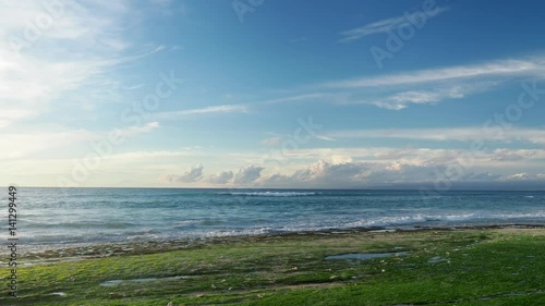 View of the Rocky Beach Covered With Green Algae