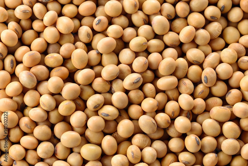 Macro shot of soybeans isolate on a background. photo