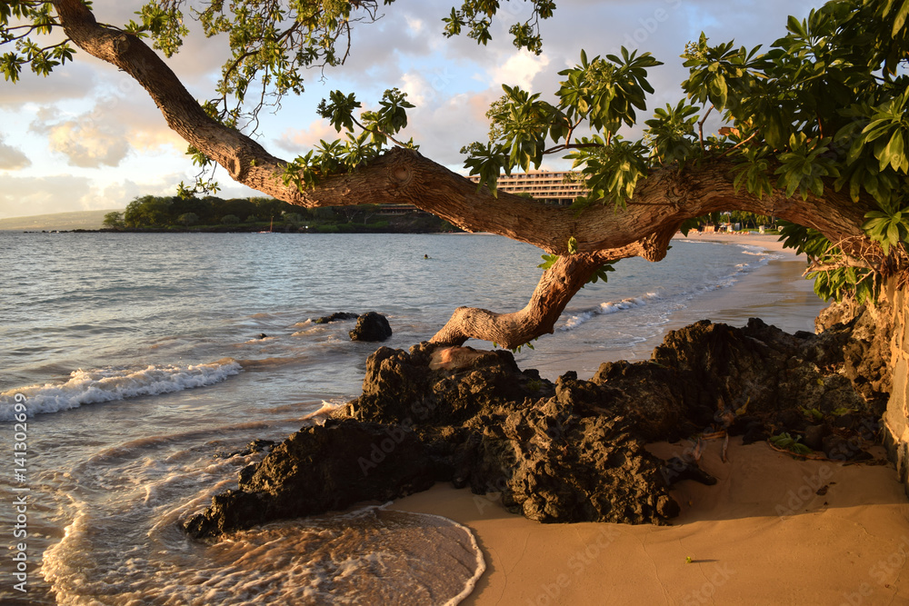 Late afternoon sunlight at Mauna Kea beach, Big Island, Hawaii Late afternoon sunlight at Mauna Kea beach, Big Island, Hawaii