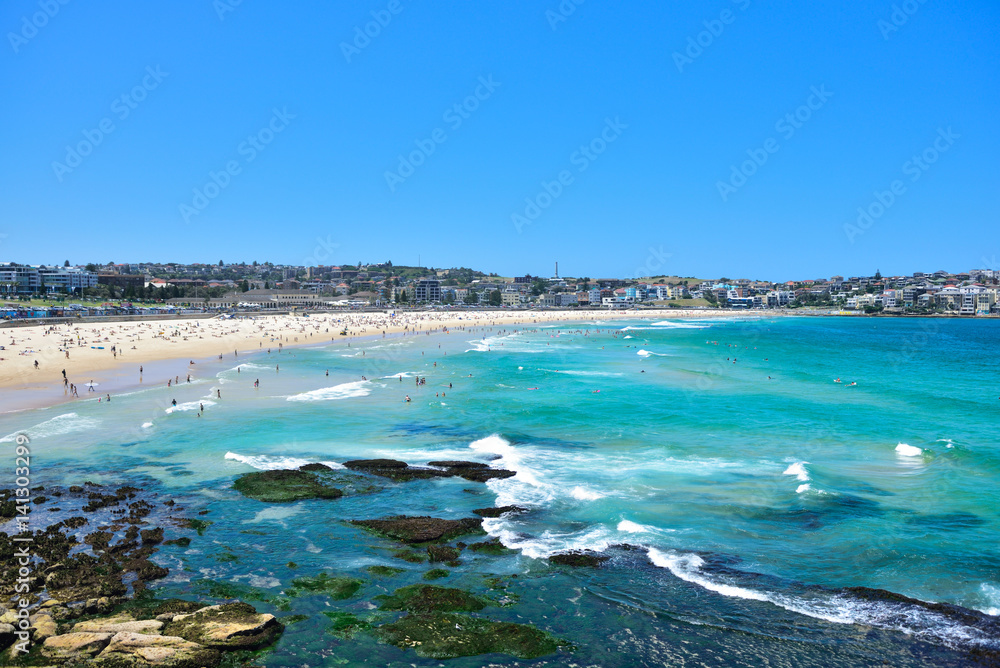 Obraz premium Bondi beach in summer