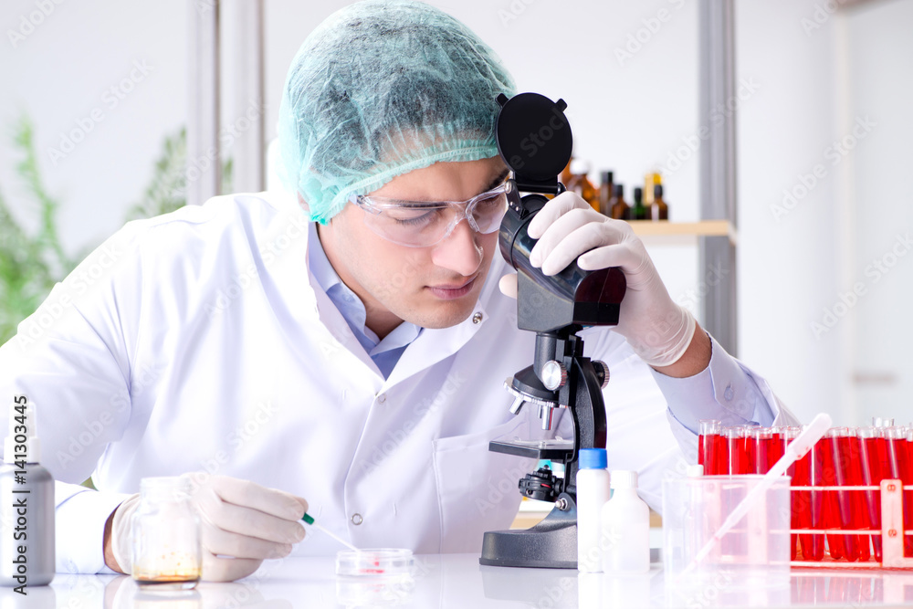 Young scientist working in the lab Young scientist working in the lab