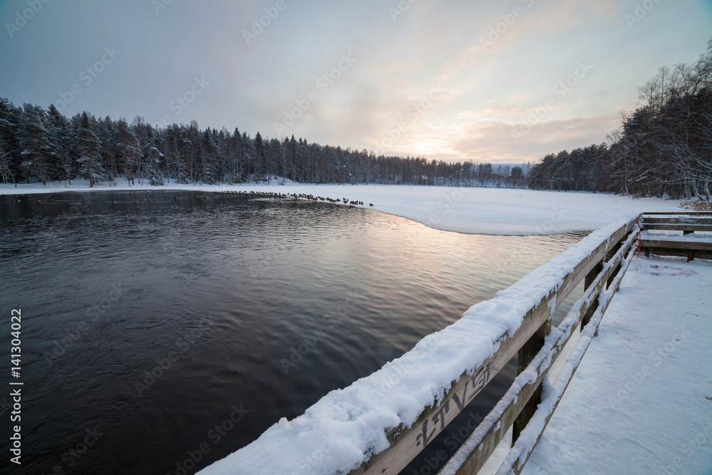 Naklejka premium Partially melted small lake