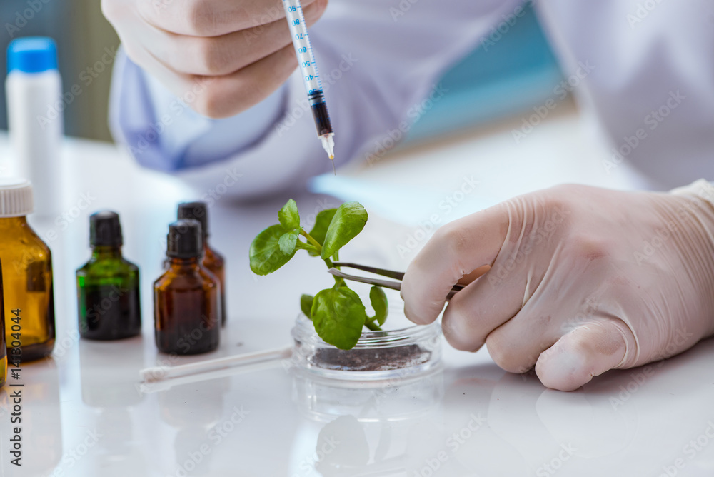 Biotechnology scientist working in the lab Biotechnology scientist working in the lab