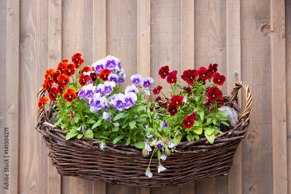 Flowers on basket outside