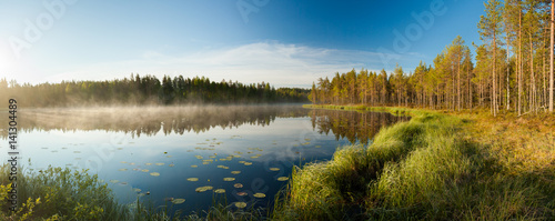 Serene morning at forest pond
