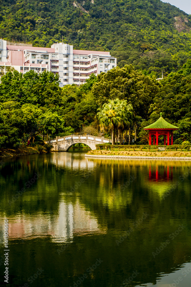 Obraz premium Pagoda and bridge