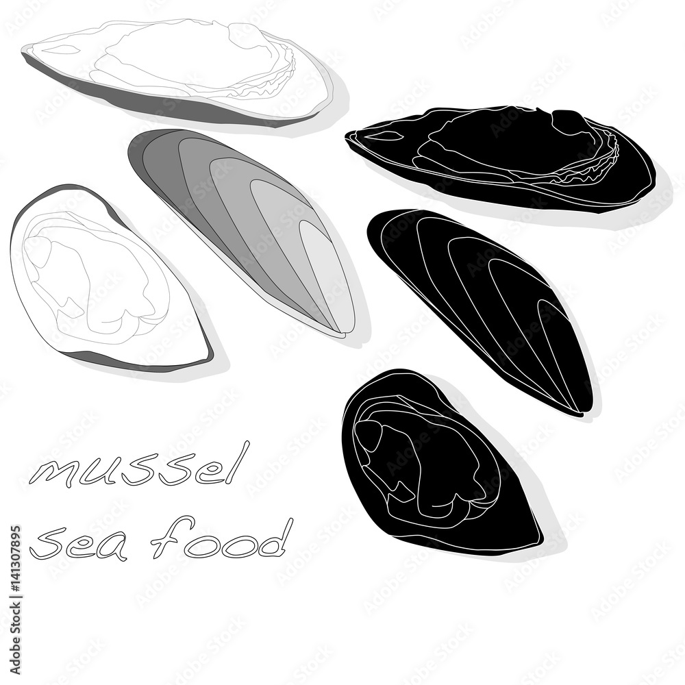 Mussels vector illustration Stock Vector | Adobe Stock