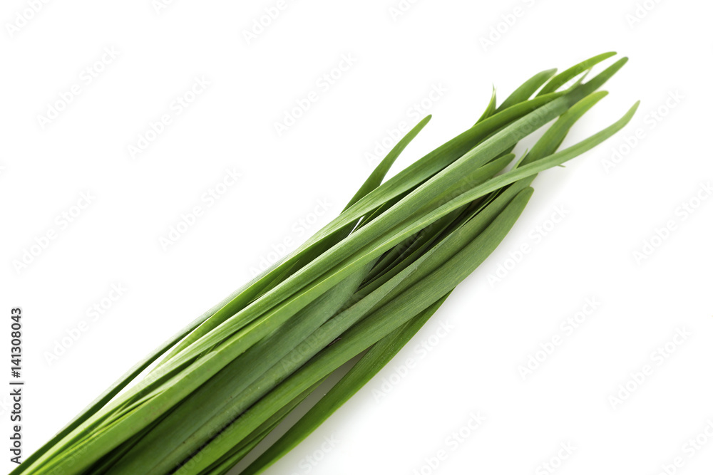 ニラ Chinese chive ニラ Chinese chive