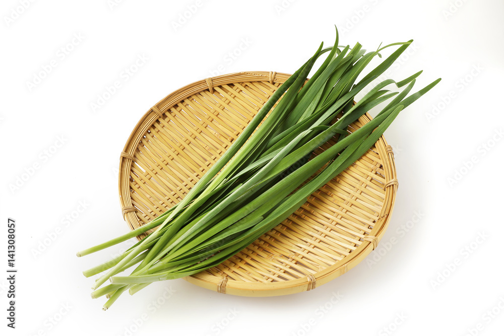 ニラ Chinese chive ニラ Chinese chive