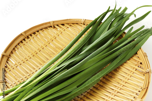          Chinese chive