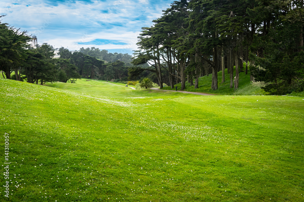 Green Gold Fields in San Francisco. California, United States. Green Gold Fields in San Francisco. California, United States.