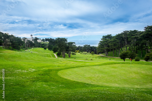 Green Gold Fields in San Francisco. California, United States.