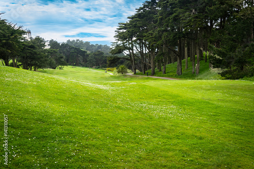 Canvas Print Green Gold Fields in San Francisco. California, United States.