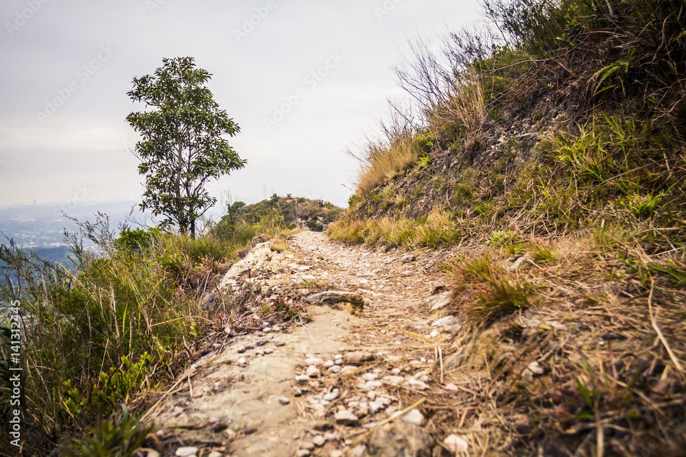Fototapeta premium Hiking trail