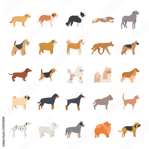 Dogs color vector icons
