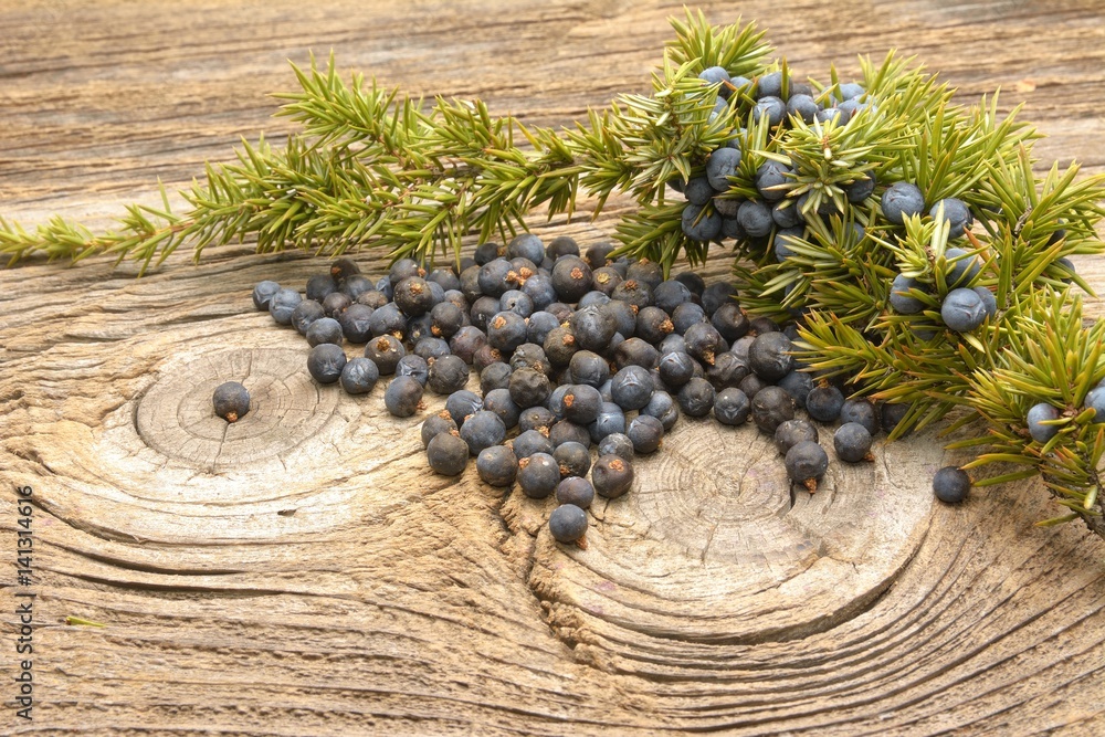 Juniper berries on vintage wooden background