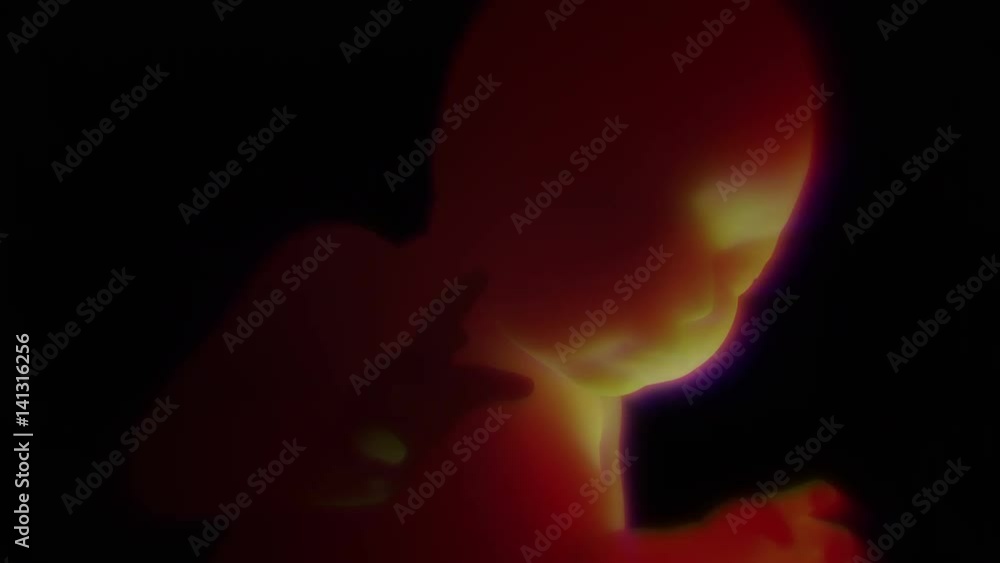 Unborn Baby in the Womb 4K 3D HD Animation Unborn Baby in the Womb 4K 3D HD Animation