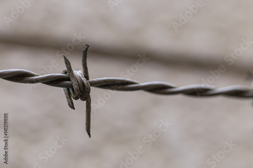 Texture of enlarged barbed wire 