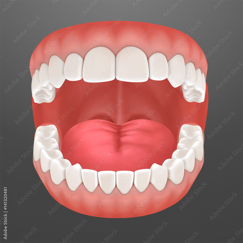 open human mouth