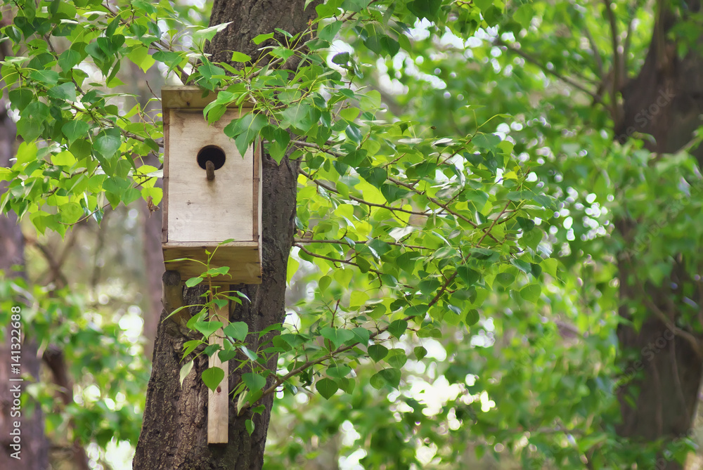 Birdhouse in spring forest