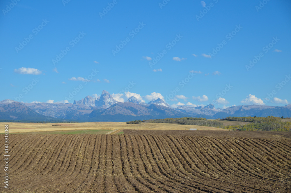 Fototapeta premium Farm in Mountains