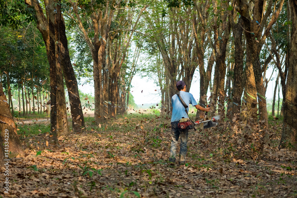 Farmer use machine to blow leaf to clean. Binh Phuoc, Viet Nam Farmer use machine to blow leaf to clean. Binh Phuoc, Viet Nam