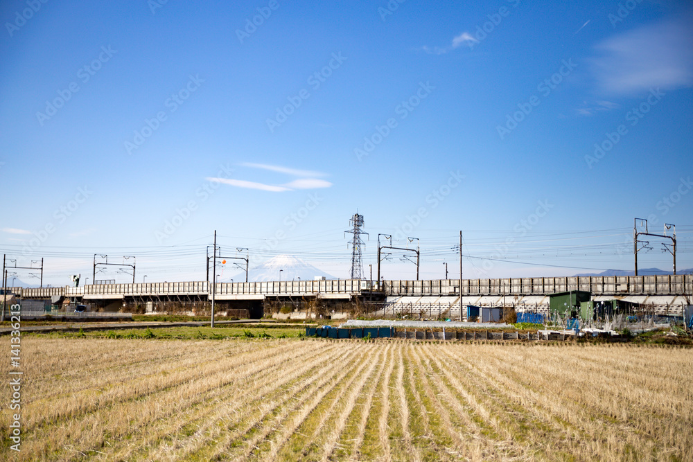 平塚市から眺める富士山